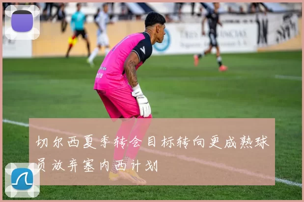切尔西夏季转会目标转向更成熟球员放弃塞内西计划